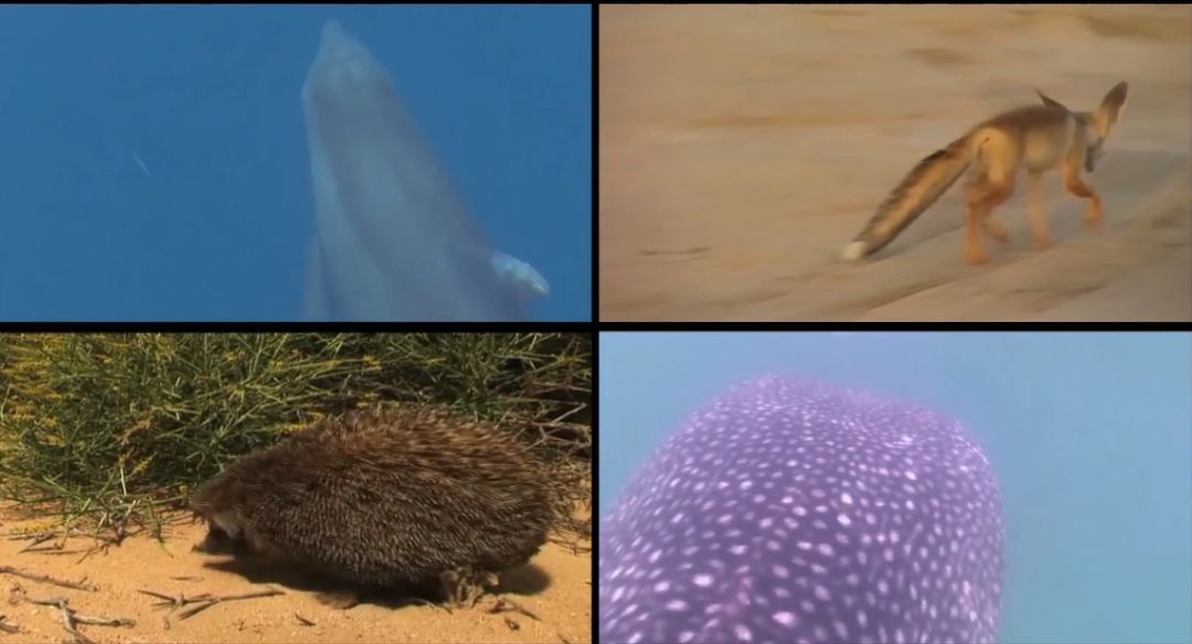 J9旗舰厅(中国区)官方网站