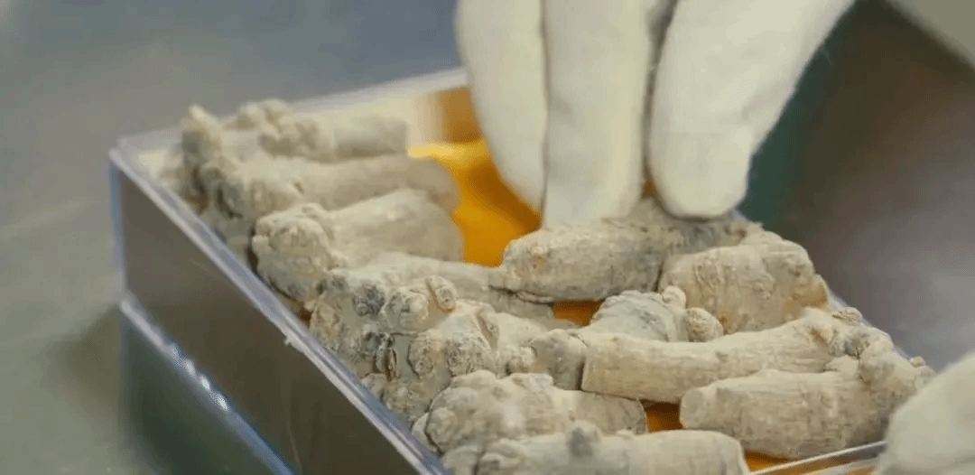 J9旗舰厅(中国区)官方网站