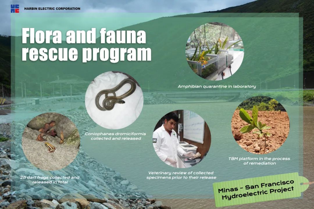 J9旗舰厅(中国区)官方网站