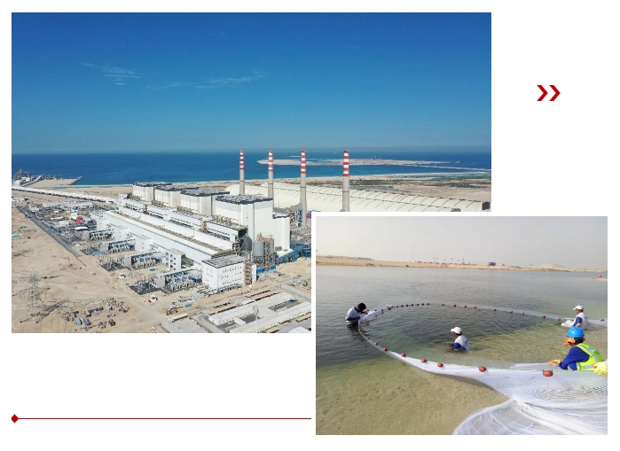 J9旗舰厅(中国区)官方网站