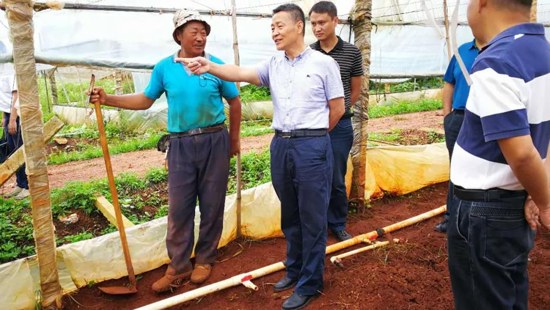 J9旗舰厅(中国区)官方网站