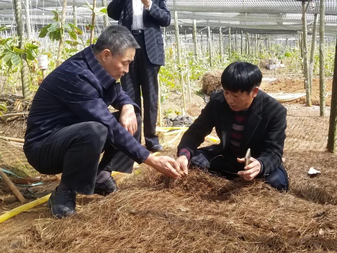 J9旗舰厅(中国区)官方网站