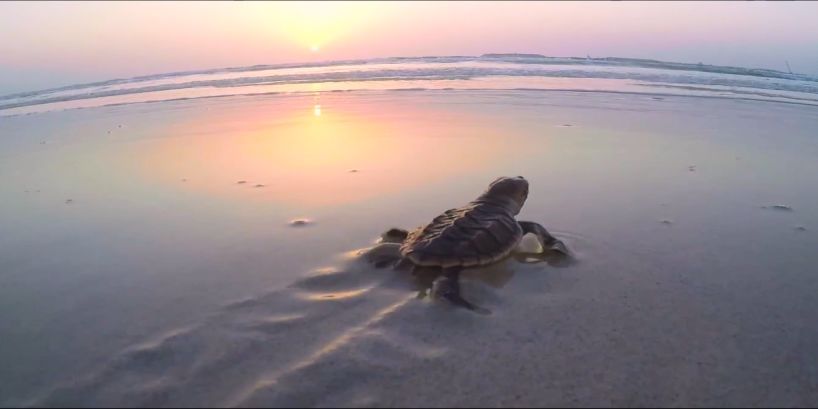 J9旗舰厅(中国区)官方网站