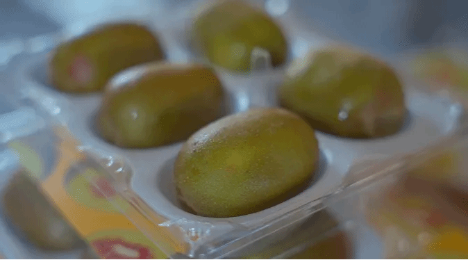 J9旗舰厅(中国区)官方网站