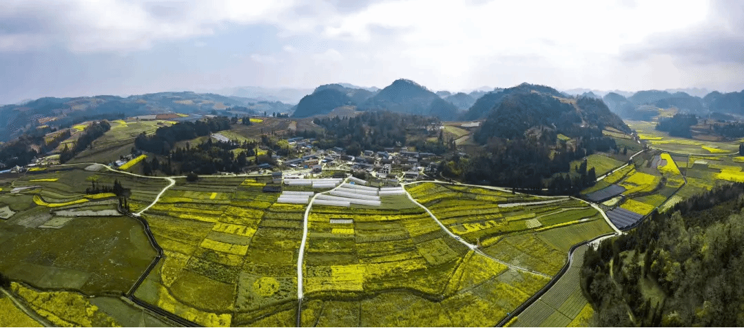 J9旗舰厅(中国区)官方网站