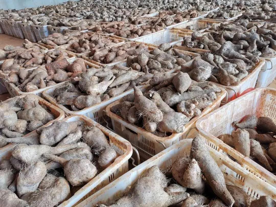 J9旗舰厅(中国区)官方网站