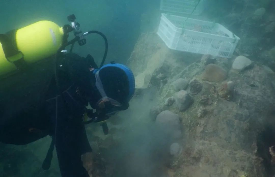 J9旗舰厅(中国区)官方网站