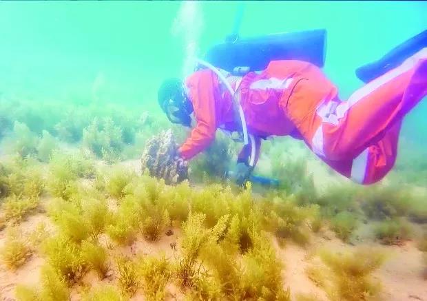 J9旗舰厅(中国区)官方网站