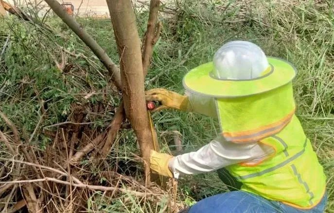 J9旗舰厅(中国区)官方网站