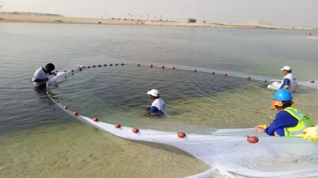 J9旗舰厅(中国区)官方网站