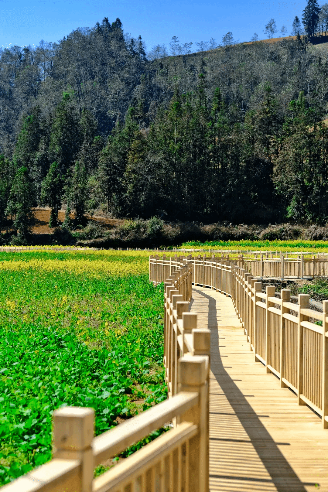 J9旗舰厅(中国区)官方网站