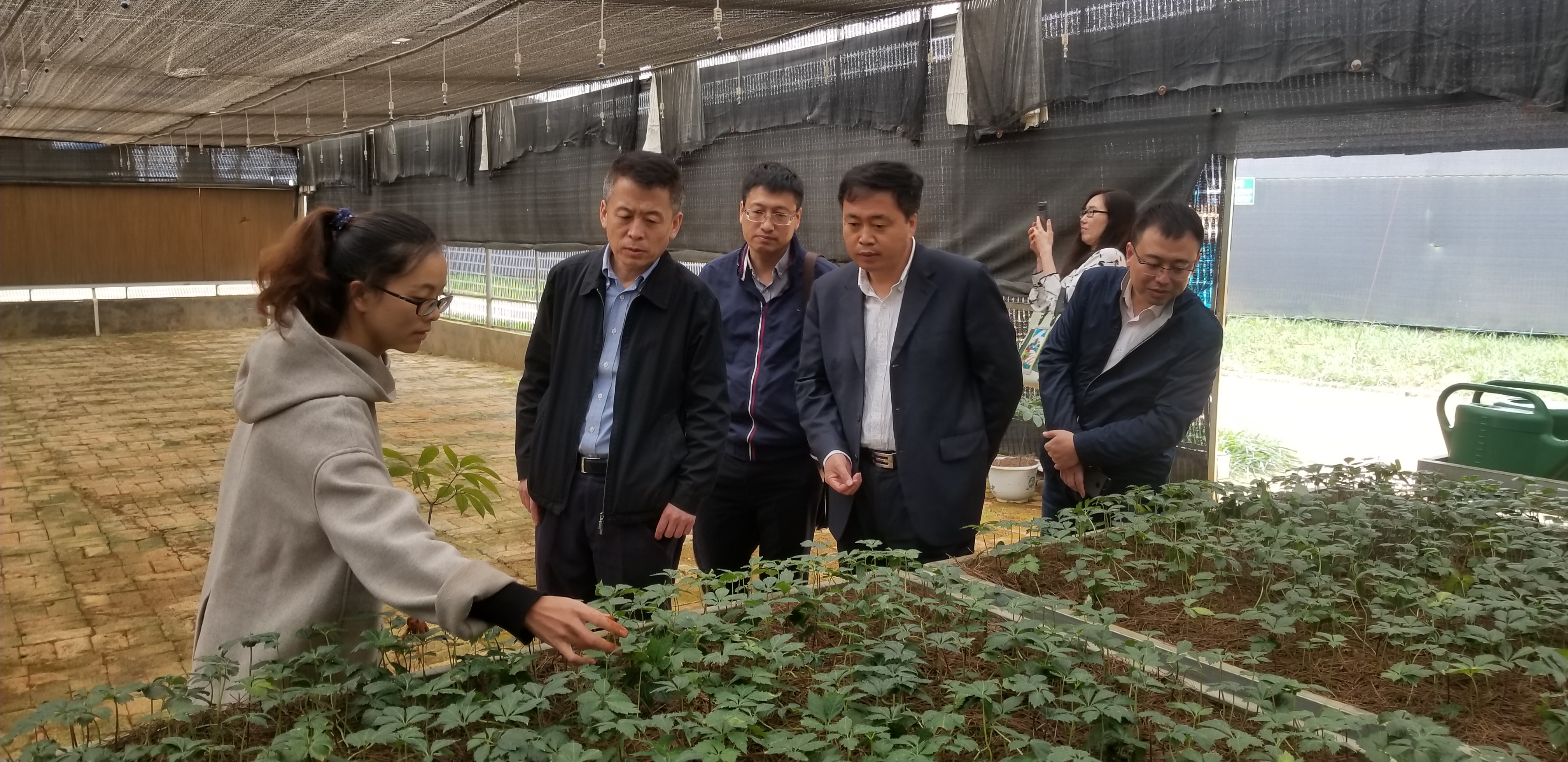 J9旗舰厅(中国区)官方网站