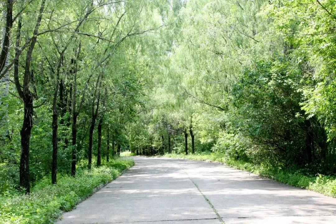 J9旗舰厅(中国区)官方网站