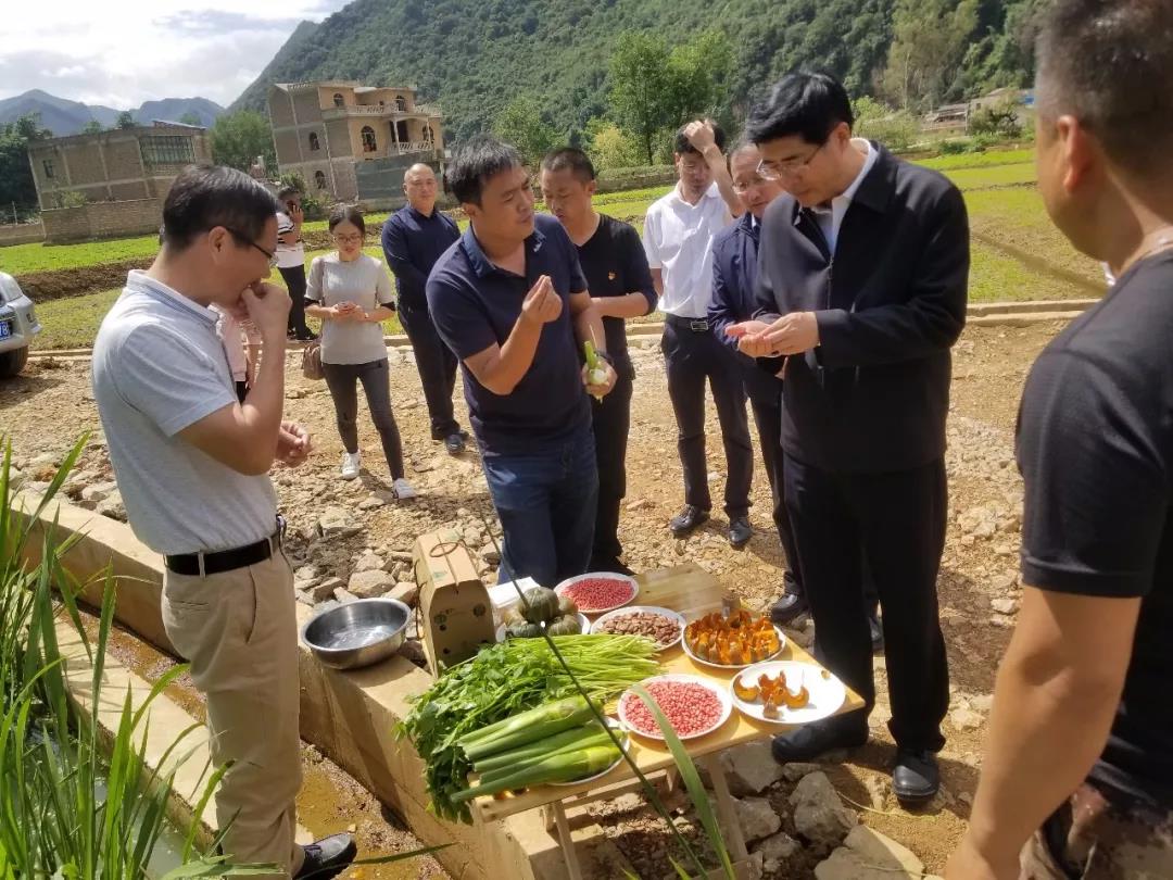 J9旗舰厅(中国区)官方网站