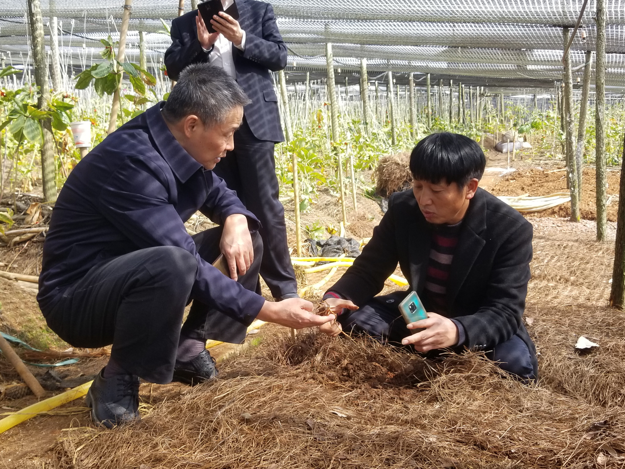 J9旗舰厅(中国区)官方网站