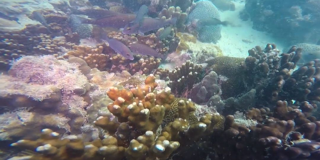 J9旗舰厅(中国区)官方网站