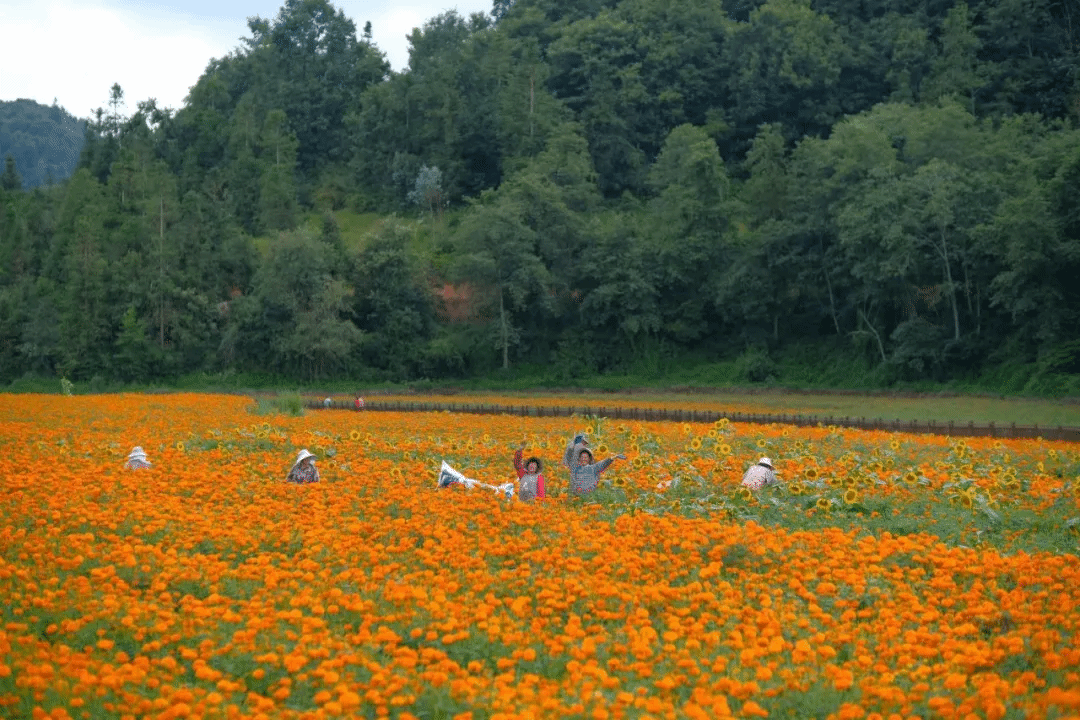 J9旗舰厅(中国区)官方网站