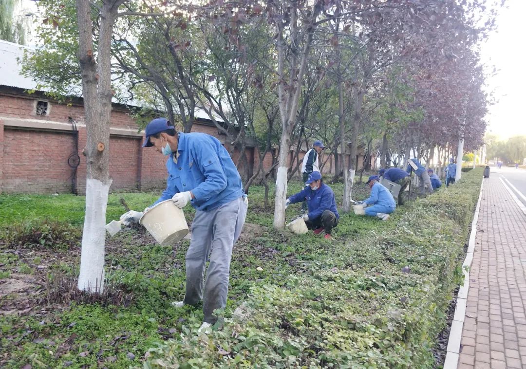 J9旗舰厅(中国区)官方网站