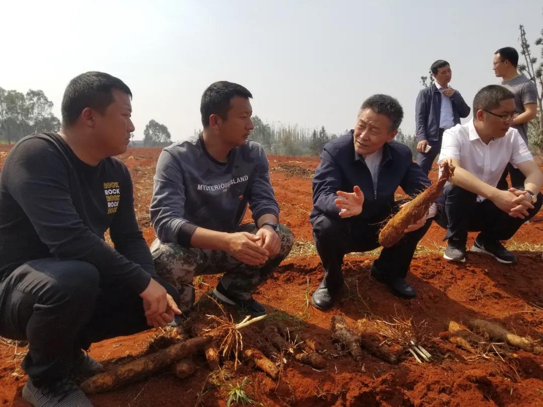 J9旗舰厅(中国区)官方网站