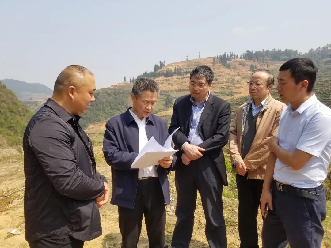 J9旗舰厅(中国区)官方网站