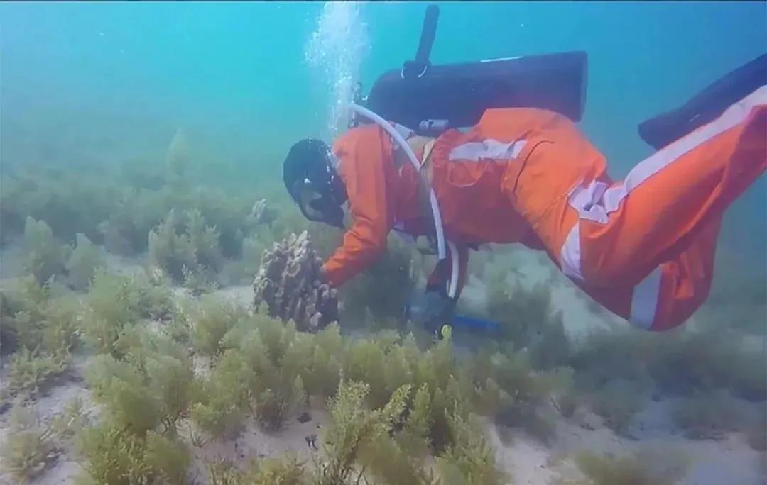 J9旗舰厅(中国区)官方网站